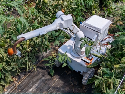 robot picking crops