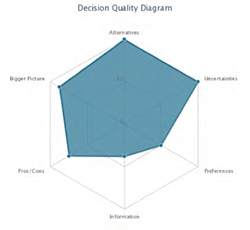 Figure 1: Elements of decision quality represented on a hexagon