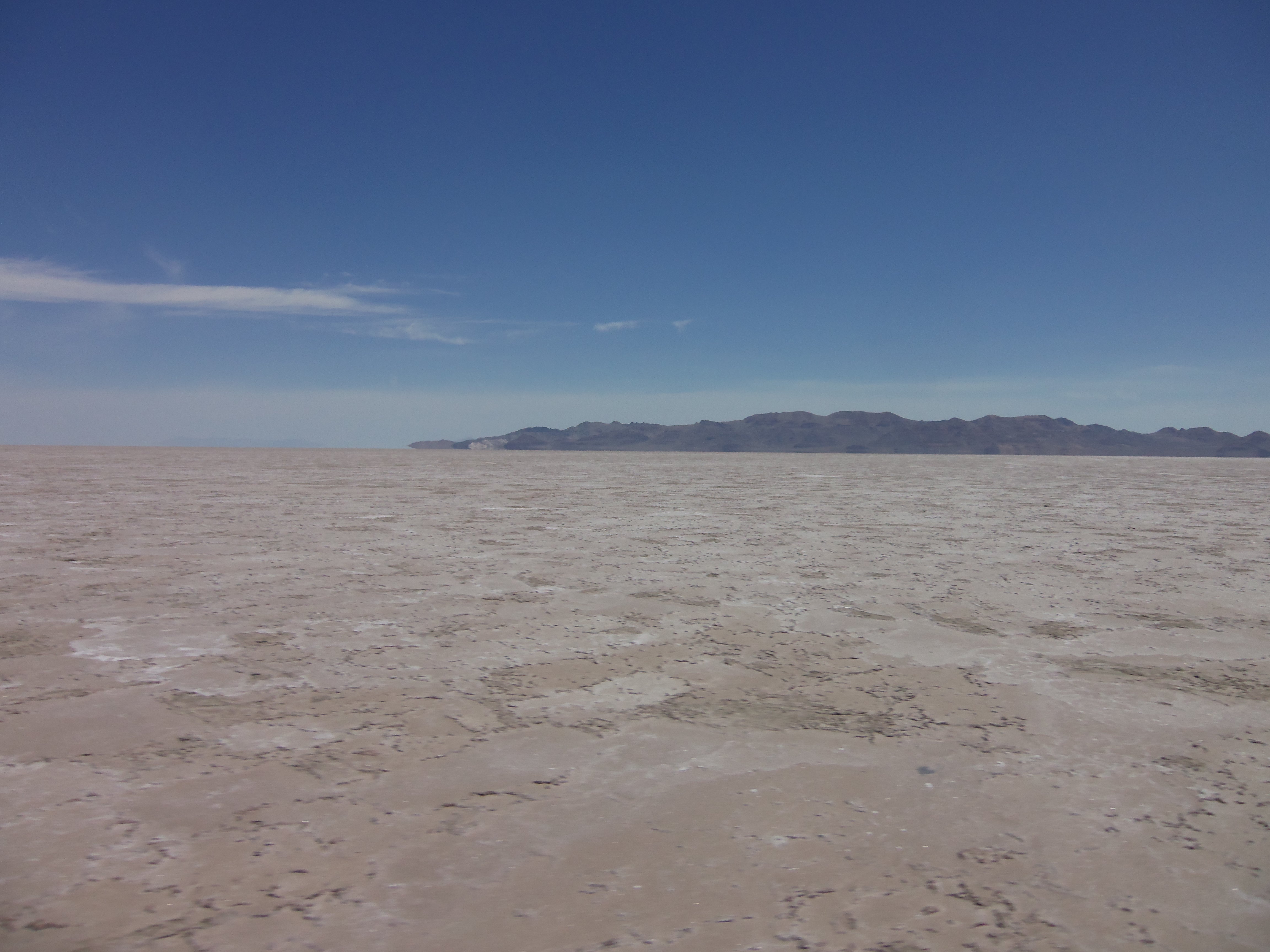 Microbial mats in the Pilot Valley Basin in Utah. Photo by Robin Schneider.